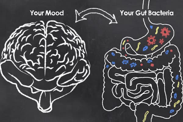 gut health mental health