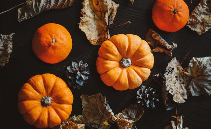 pumpkins-homepage-blog-post