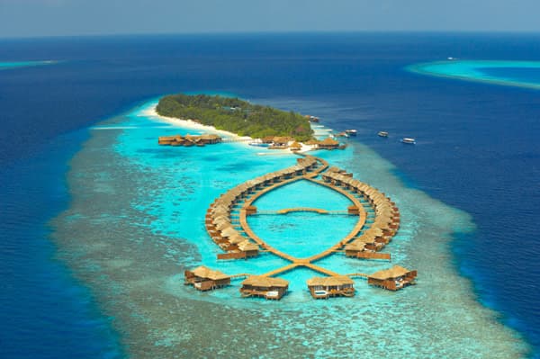 lily beach maldives